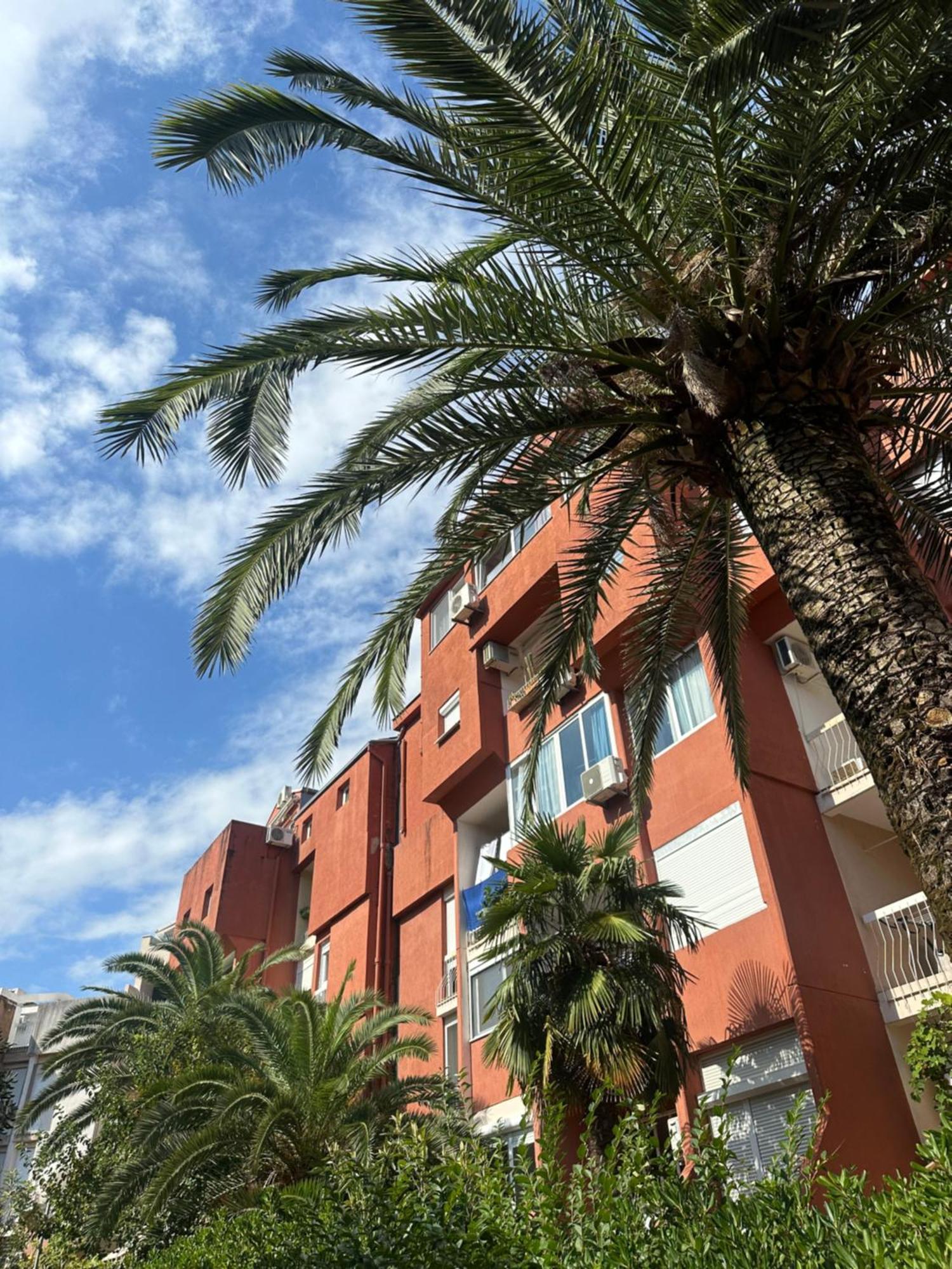 Centar Daire Budva